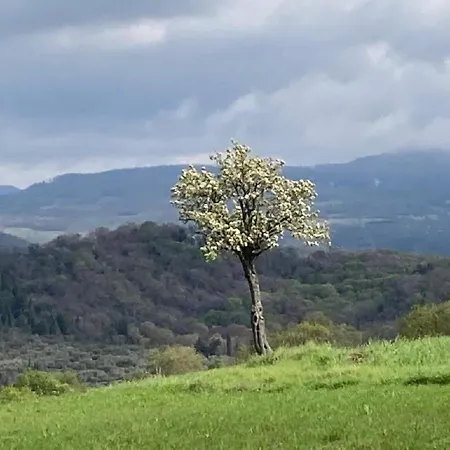 Bio Il Torrione *