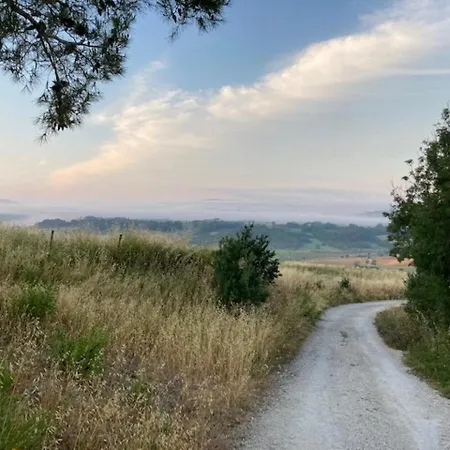 Bio Il Torrione 팜스테이