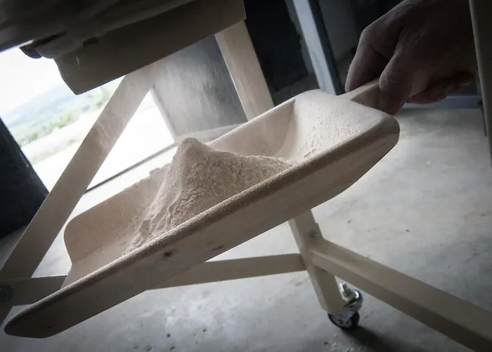 Bio Il Torrione 萨杜勒尼亚