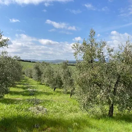 Bio Il Torrione *