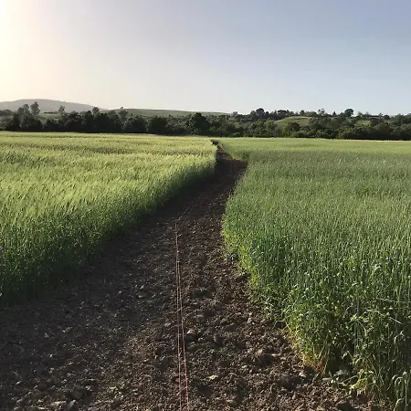 Alojamento de Turismo Rural Bio Il Torrione *